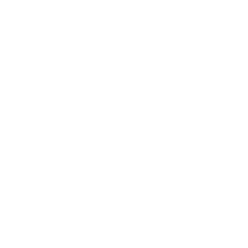 Logotipo Branco Anna Barreto Luz